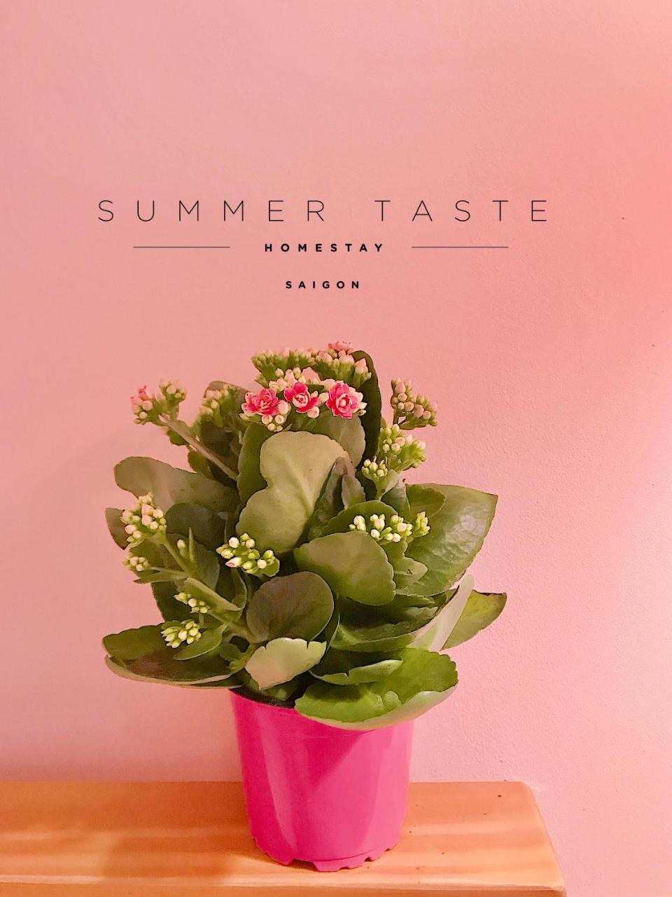Summer Taste Homestay TP. Hồ Chí Minh Ngoại thất bức ảnh