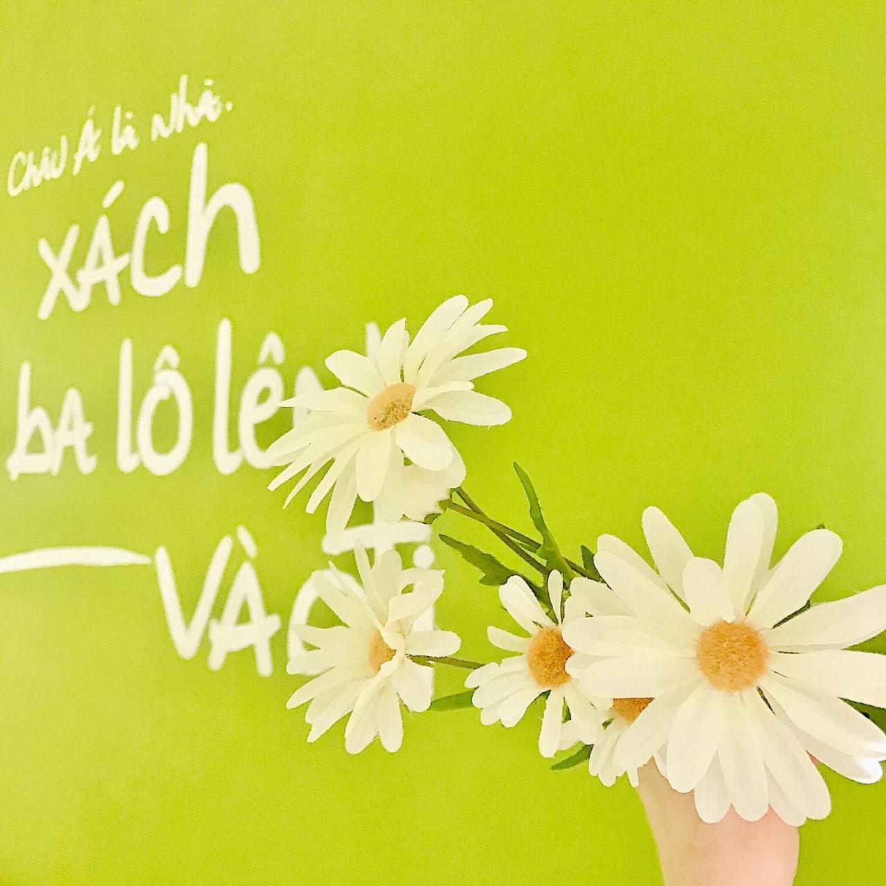 Summer Taste Homestay TP. Hồ Chí Minh Ngoại thất bức ảnh