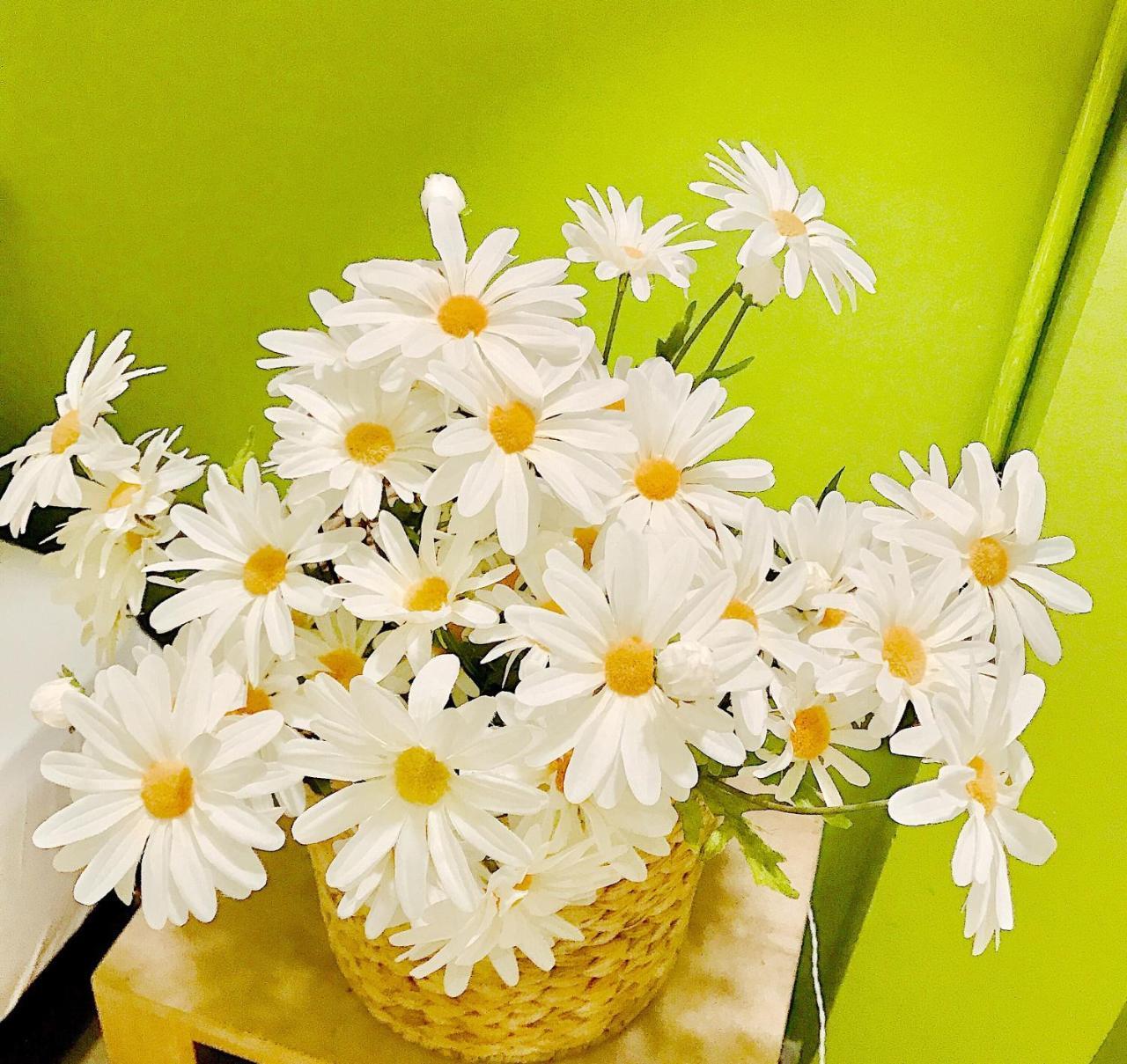 Summer Taste Homestay TP. Hồ Chí Minh Ngoại thất bức ảnh