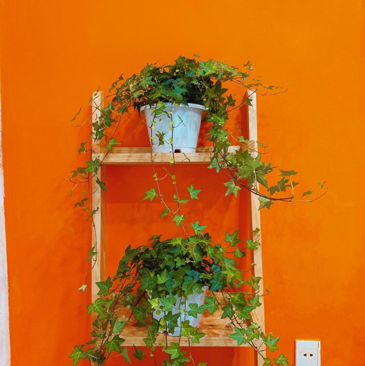 Summer Taste Homestay TP. Hồ Chí Minh Ngoại thất bức ảnh